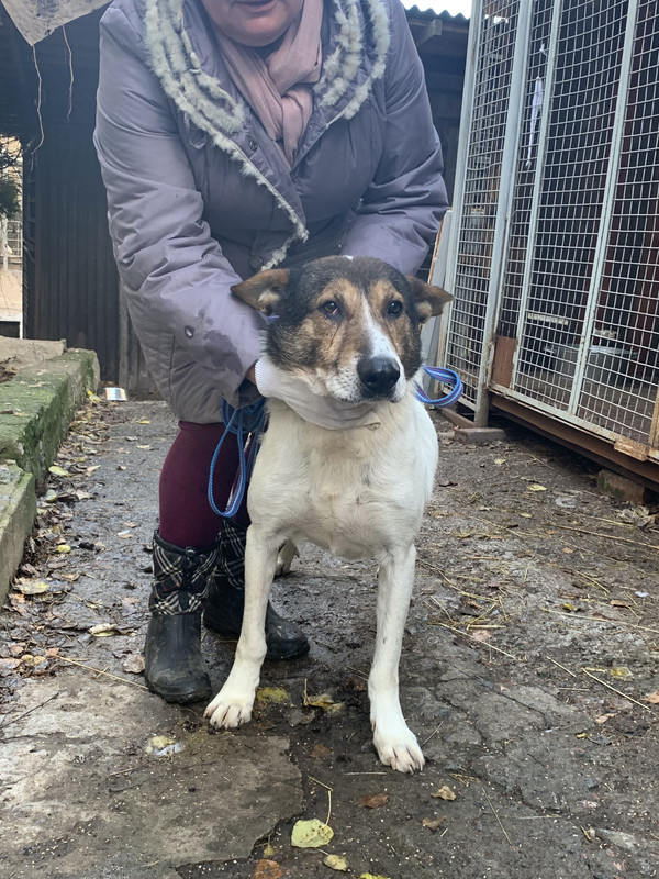 73D32ABB-BA2D-4920-A7EC-179369D2FF05