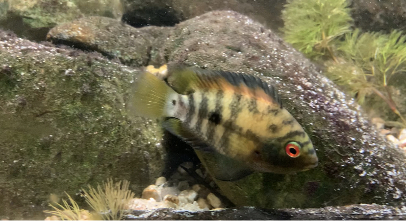 6C396744-2827-4553-8198-774F5AB7E395