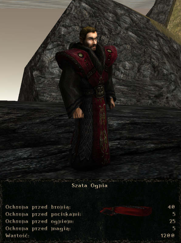 pancerze i ubrania (20)