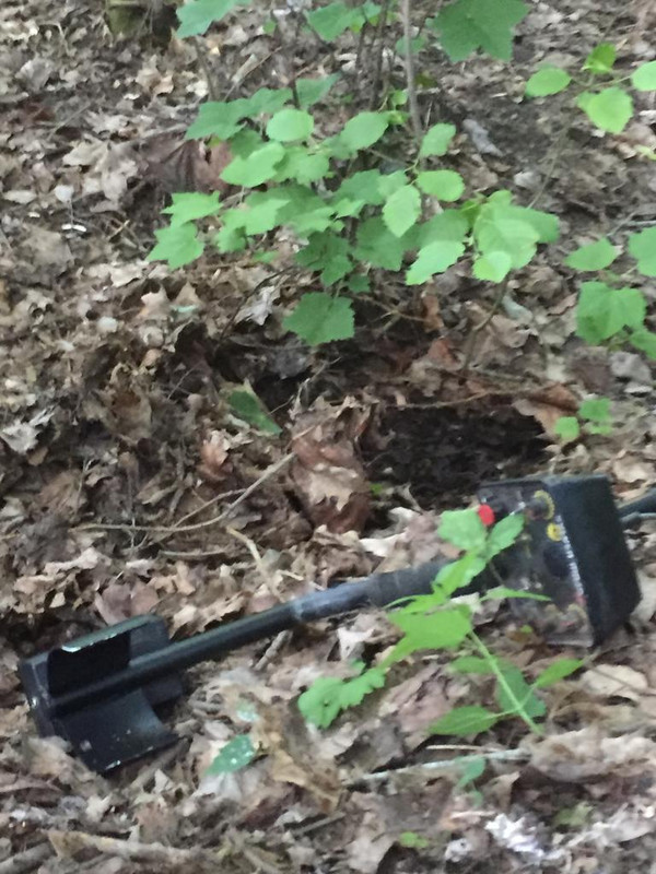 FD33F963-9C54-4BEB-B411-668872E1EAC3