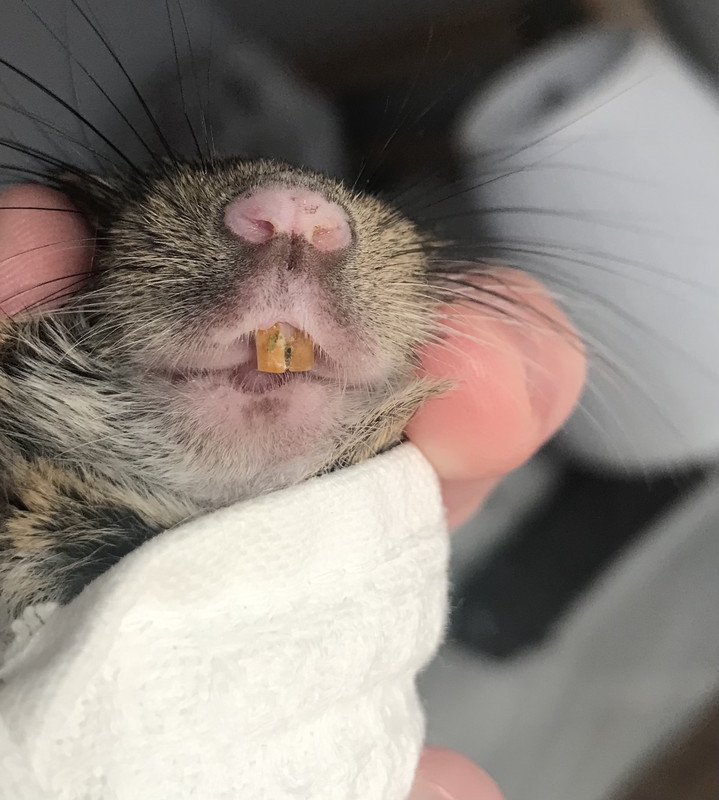 E307B98E-39E9-4735-BF6B-AD1E1312E36B