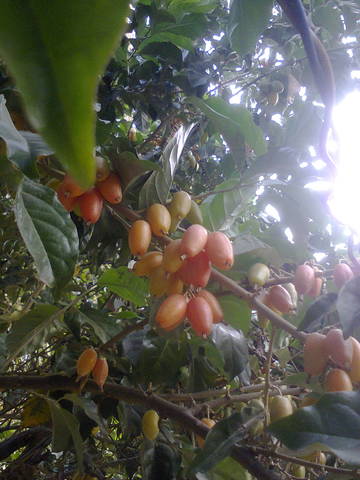 Photo0011