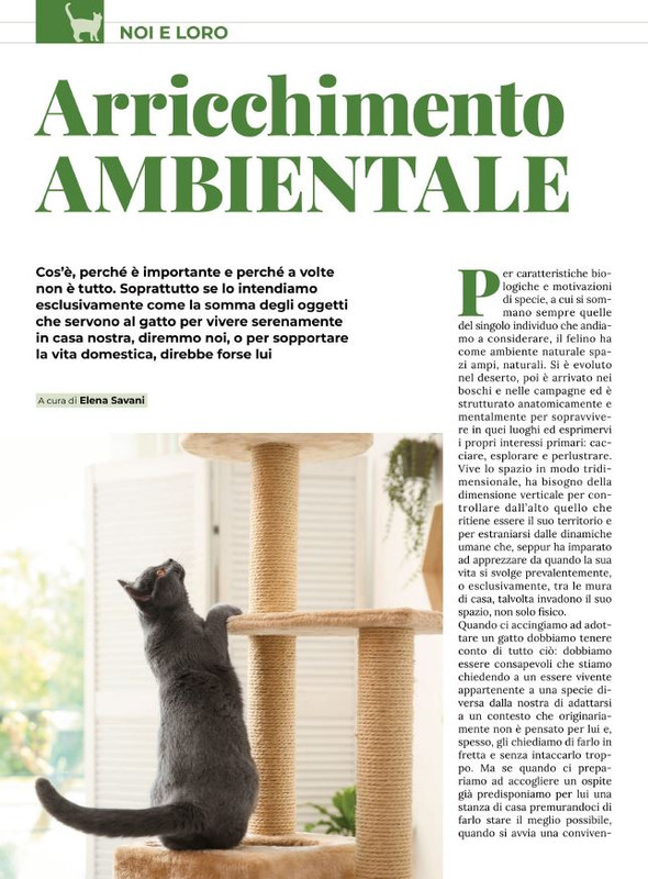 Ga Ma Ott-Nov 2022 (3)