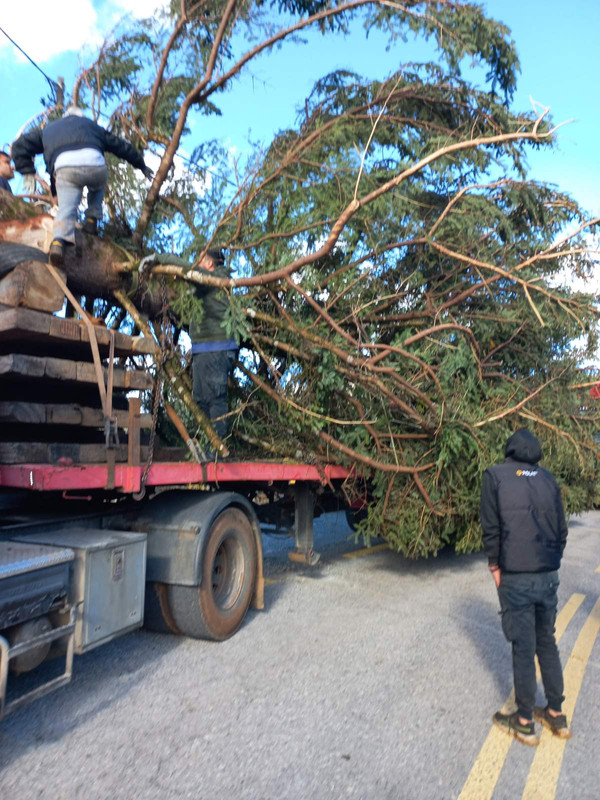 εικόνα_Viber_2024-11-23_14-27-20-606