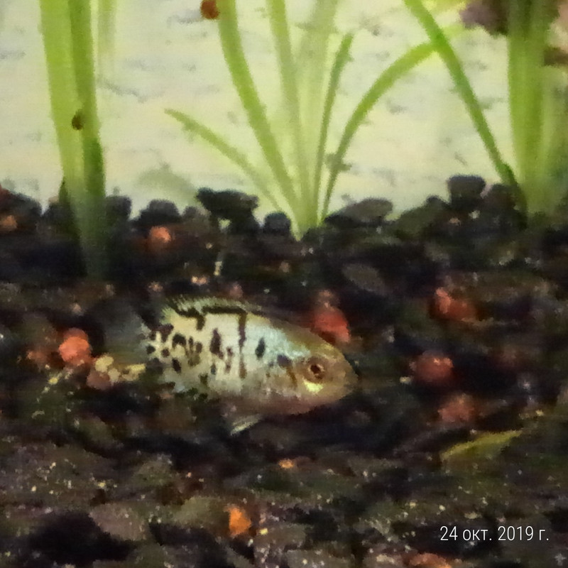 изображение_viber_2019-10-24_15-59-55