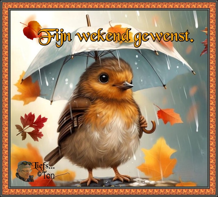 www.krabbelplaatjes.com