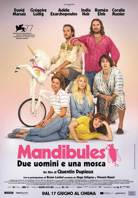 Mandibules - Due uomini e una mosca (2020) WebDL 720p ITA FRE AC3 Sub