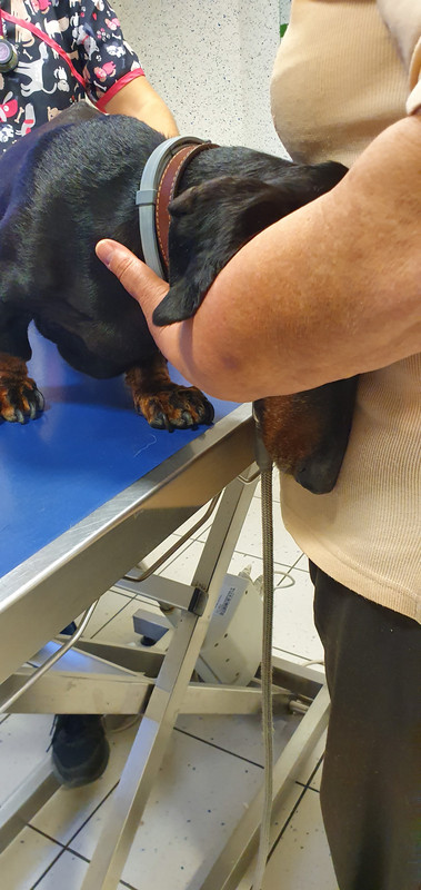 [Image: 20221027-184523.jpg]