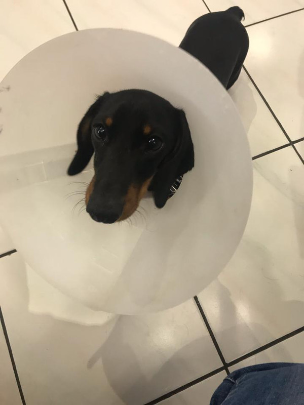 [Image: IMG-3611.jpg]