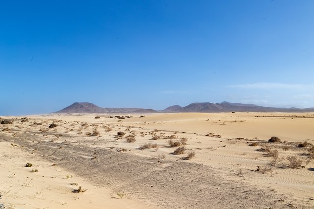 Fuerteventura - Blogs de España - ISLA DE LOBOS Y DUNAS DE CORRALEJO (23)