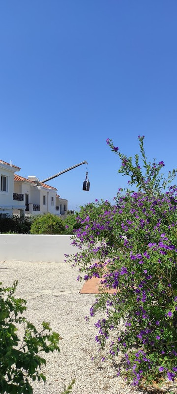 IMG_20210513_103545 (1)