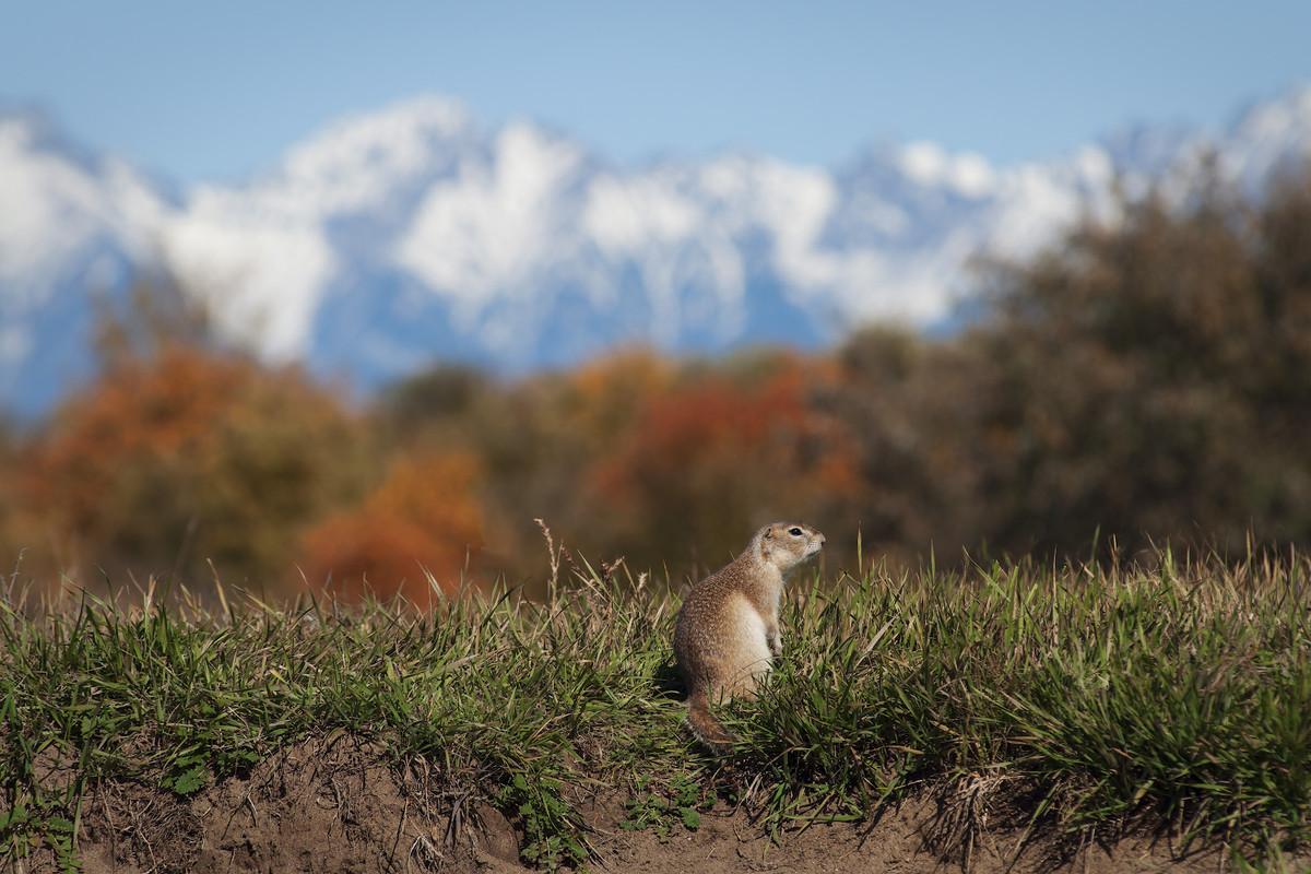 Байкальская осень