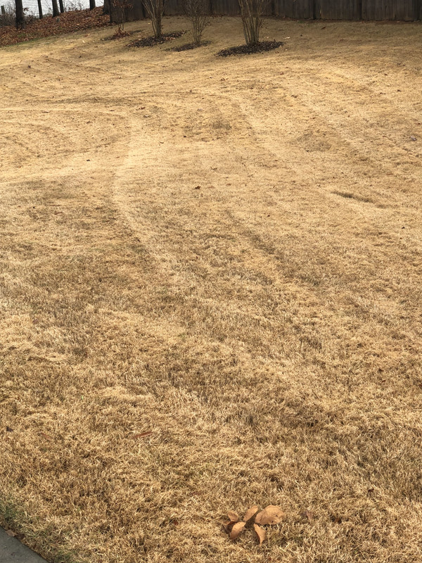 1C53EDE6-DECE-4E21-B437-AD9D25002777