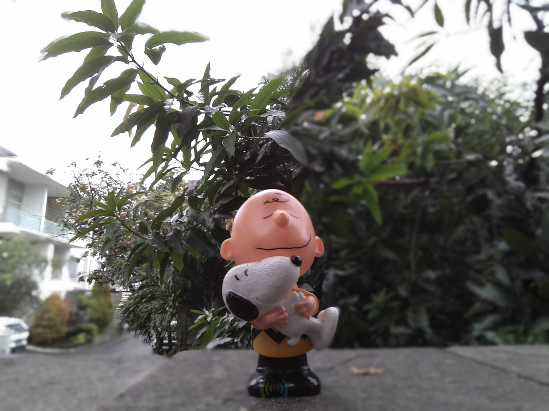 Asus Zenfone Max PRO M1 - Hasil Kamera Depan Bokeh 2