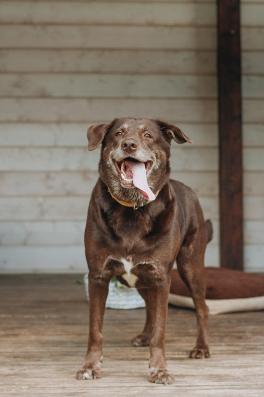 IMG-2446db453aad62478285f8b6ef816e1e-V