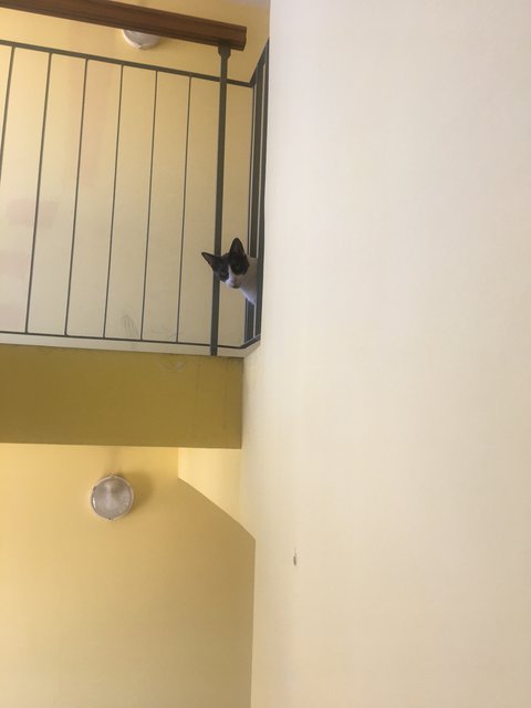 95-EBB6-F7-4-C48-4-AF5-B935-7-FA90097-A4