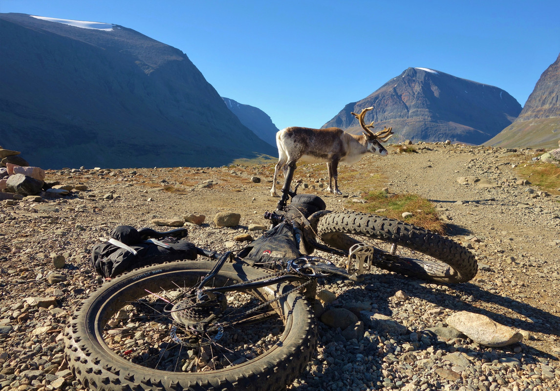 [Linket bilde fra i.postimg.cc]