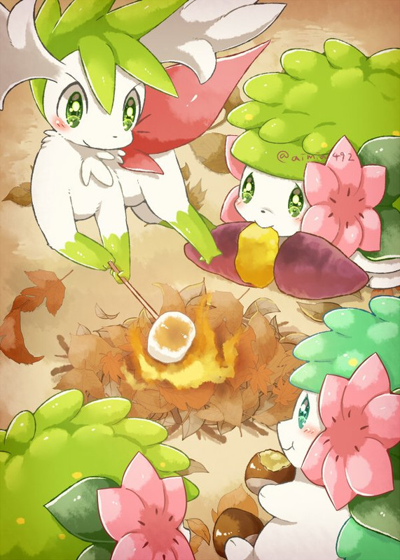 shaymin-pokemon-drawn-by-aimi-aimia492-e
