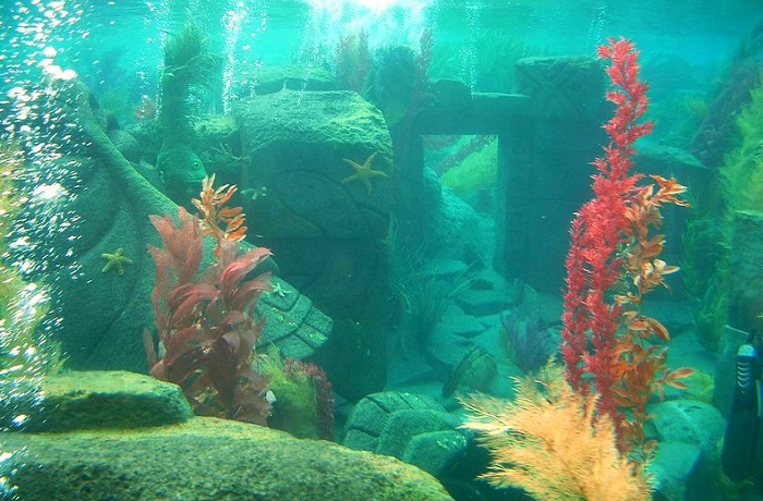 Ilustrasi reruntuhan kota misterius yang tenggelam di bawah laut.