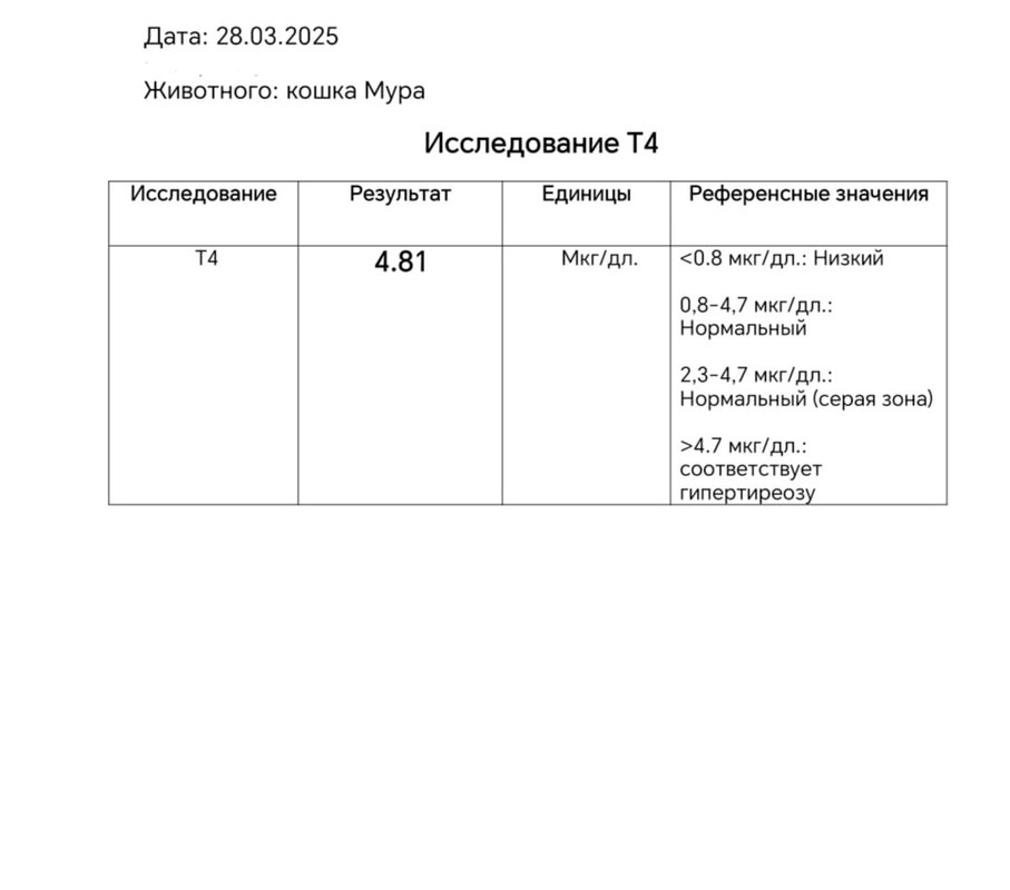 IMG-20250402-WA0006