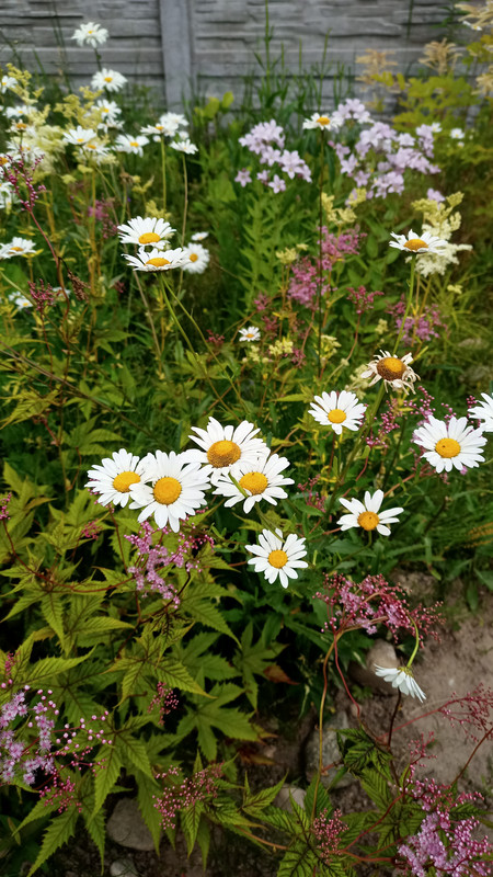 IMG20230704170425