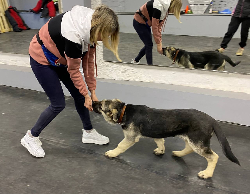 _IgdDOcXIl7GP9KQYmzMltbM8OZevOj2URAhKEUHAo4aH7W1A1Q3cyYotT5avpTDrkUVaXk8y2F_sFNbdNXfZQEe