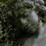 vine-statue-1.jpg