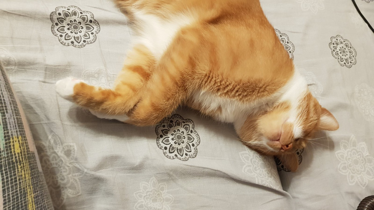 5863CA24-BB26-474E-8D93-6B3119071A9A