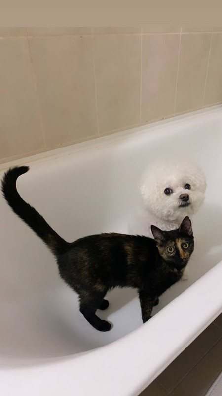 8A32754E-6CF6-4300-BA45-5DEEA568460C