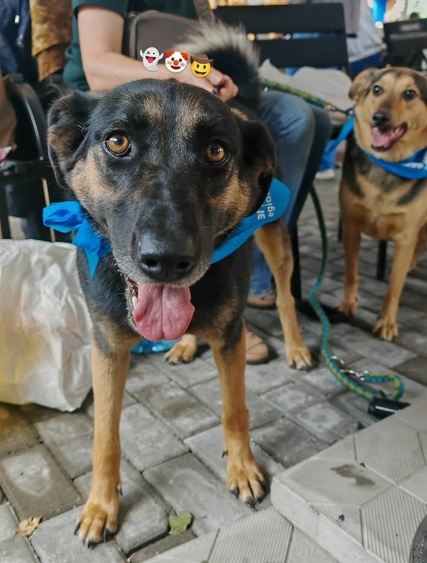 Z85L2FAPXWq EZ0D XNAXi6but Ql Aj A8sxk L Jqa L4QBOn25c5t NQ s PAp2ELHVk Nj T1ZCMAB30y G7whth REn Iy