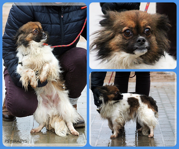 BeFunky-collage (23)