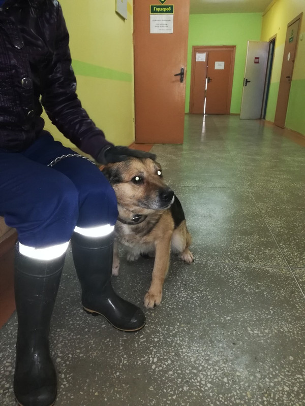 BA6A2CAF-6C3C-4C28-933A-B2F8BF849F58