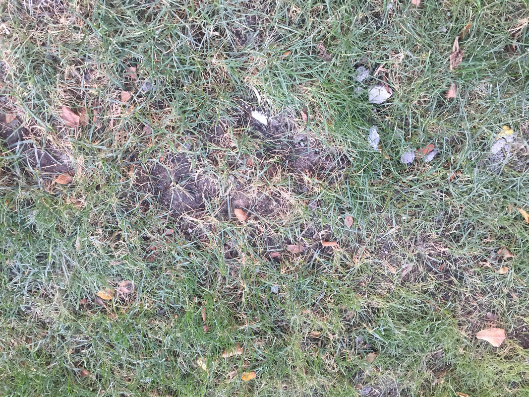 7B0CB71D-D02E-45AB-A005-6B71792D50C0