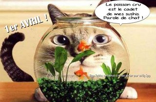 https://i.postimg.cc/j50vHDNH/poisson-avril-013.jpg