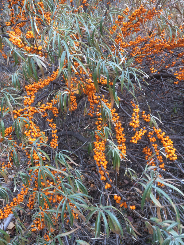 AD7BDE7C-B435-45A0-ADB6-654C485B76A4