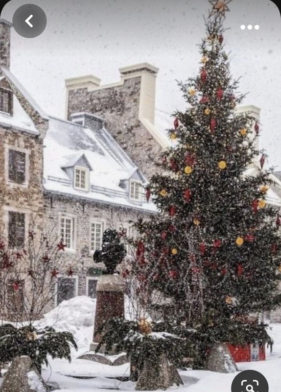 Screenshot_20231023_203051_Pinterest