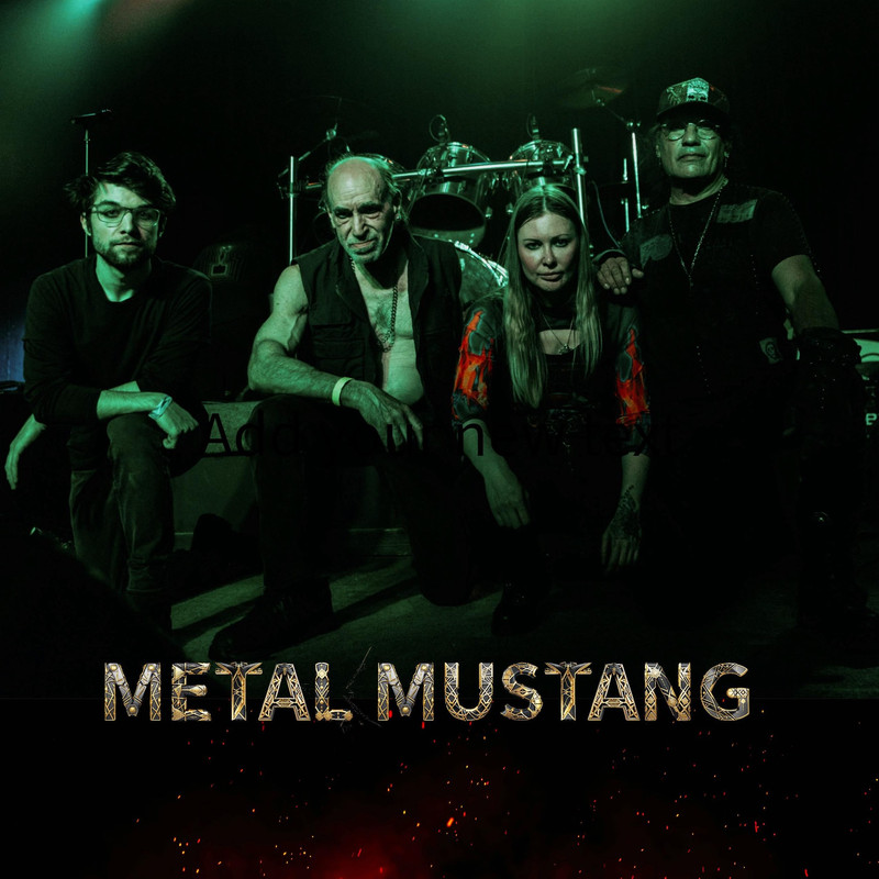 www.facebook.com/metalmustangdetroit