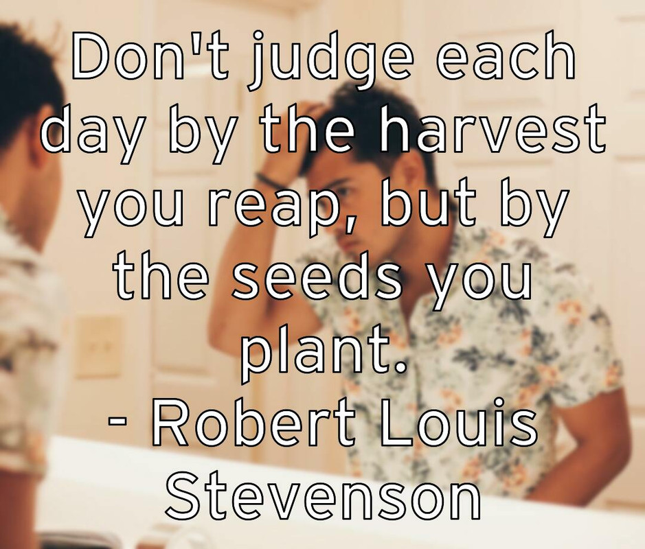 don-t-judge-each-day-by-the-harvest-you-reap-but-by-the-seeds-yo