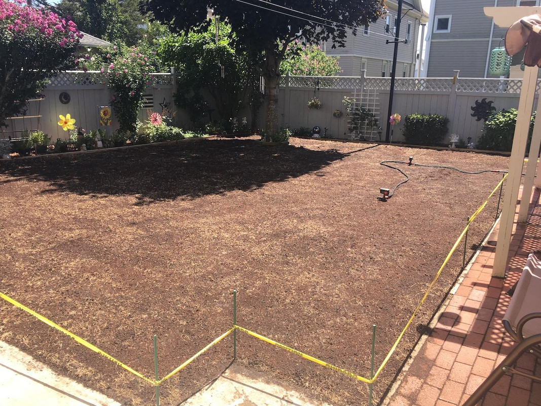 2017_Backyard_Reno_Day_4_1_small