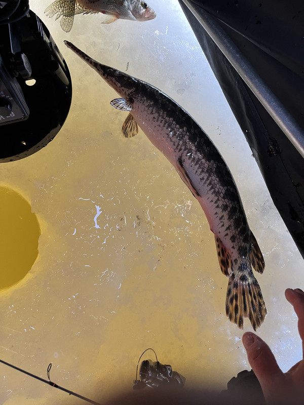 D20F938A-1EF9-421F-88D9-0CEE940B2820