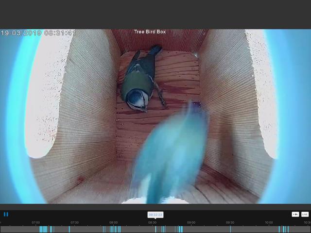 4B774ACC-E4A5-46E5-BFED-D05C6DC77E11