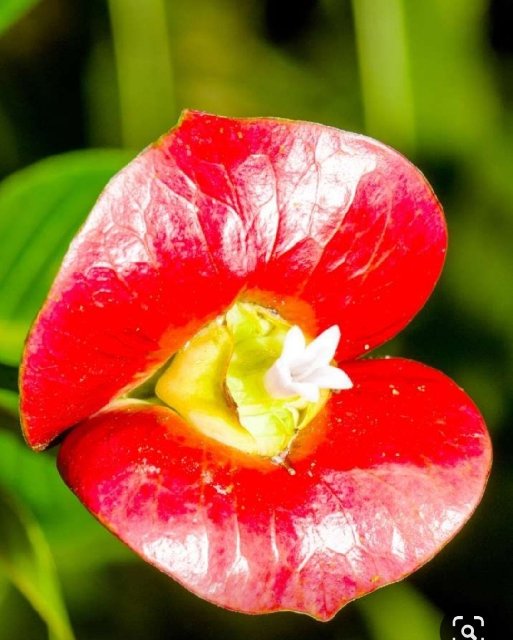 [Image: Screenshot-20200217-113840-Photos.jpg]