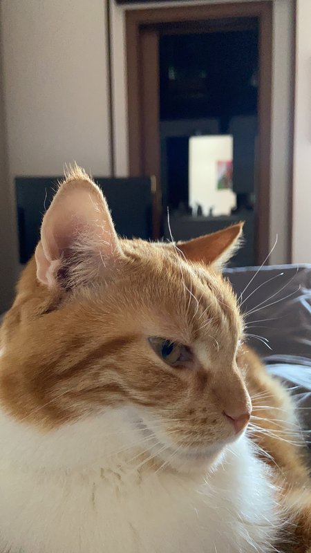 6689B61F-59B6-445F-A4AD-212639F55D37