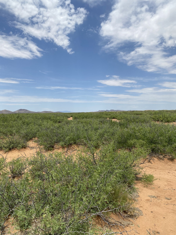 "Discover Your Oasis: 4.65 Acres in Horizon Ranches,  Luna County NM!"