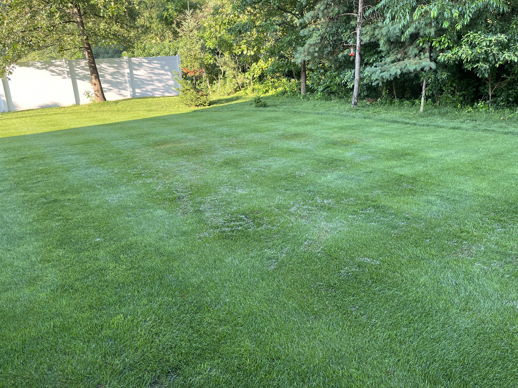 1A826B66-5770-4910-A3AE-6FA05F8F562D