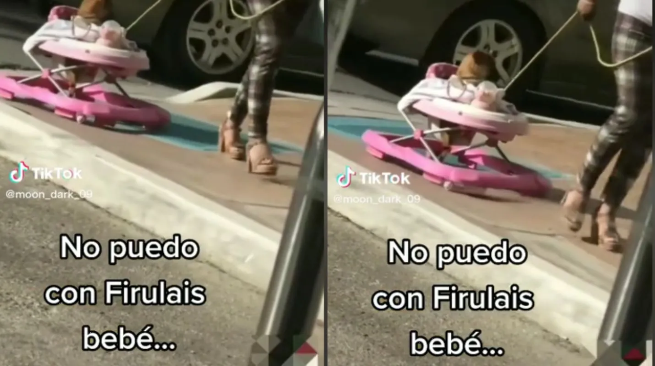 Así se ve perrito paseado en andadera para bebé; roba todas las miradas