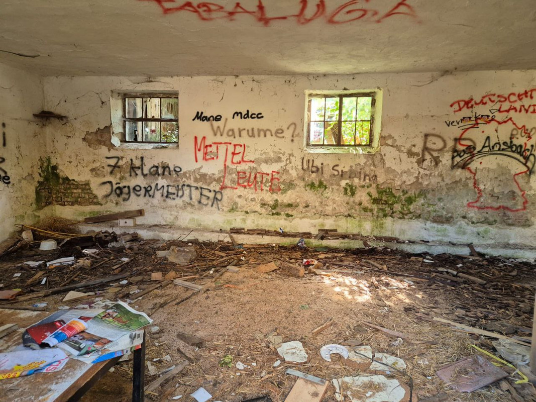 photo_5355242108765725190_y