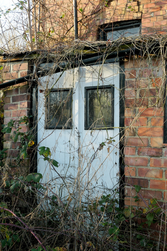 Appleton Gardens 190106 5 — Postimages