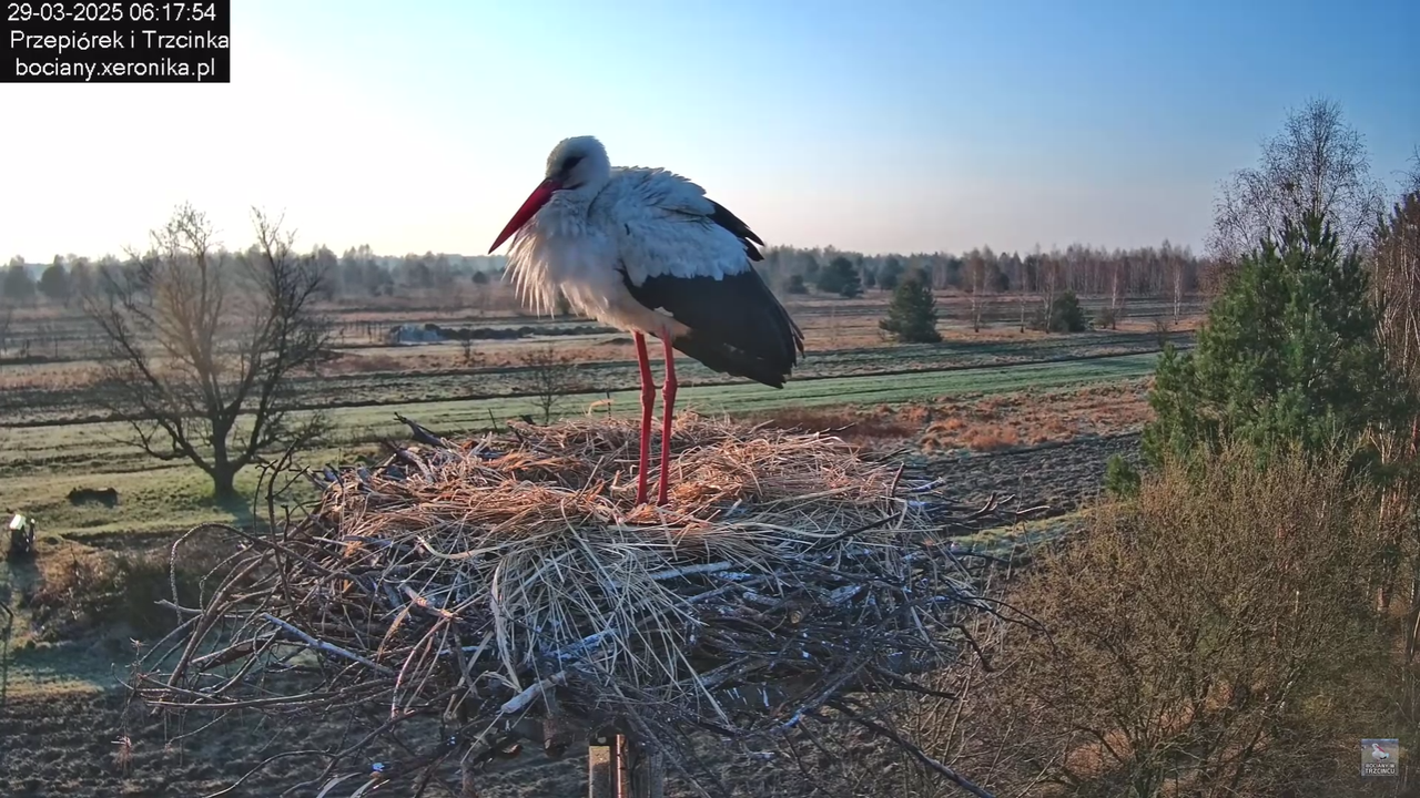 29032025porannezamieszanie_31