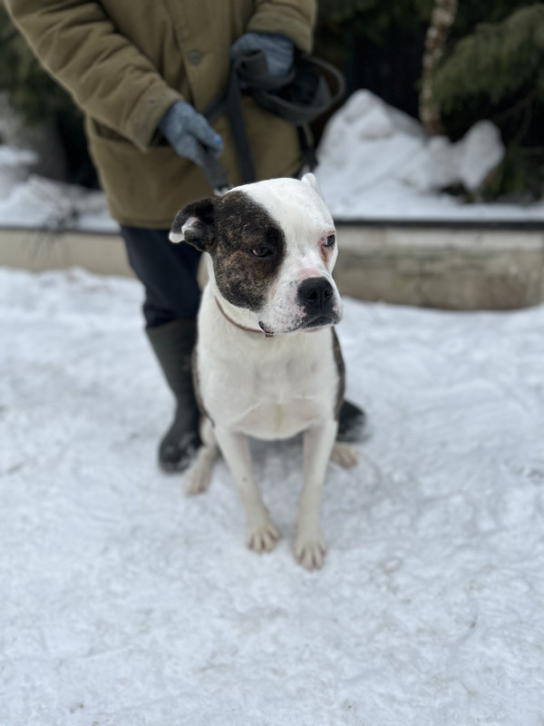 844006F3-FE82-4BDB-8C1D-D5A3C9A90C43